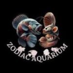 zodiac aquarium fish