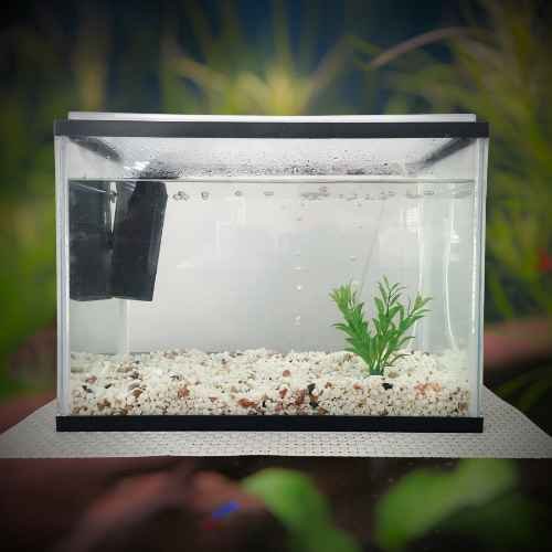 احواض و مستلزمات