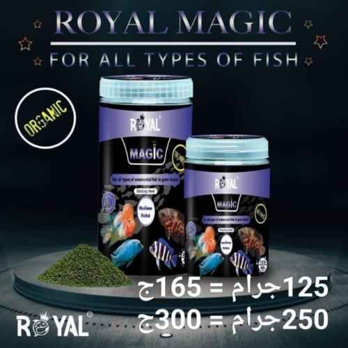ROYAL FISH FOOD ROYAL FISH FOOD