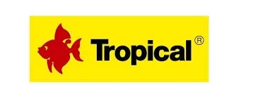 TROPICAL